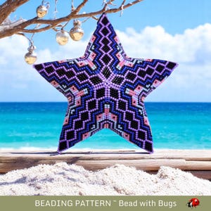 May include: A beaded star ornament with a geometric pattern in shades of purple, pink, blue, and black. The star is hanging from a branch against a backdrop of a blue sky and ocean.