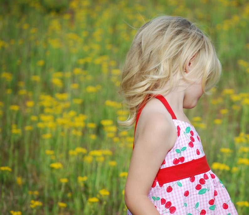 Mini Clementine Girls Dress - Wild Cherries main image 1