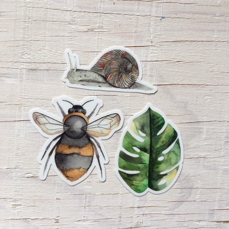 Nature vinyl sticker packinsect stickerbee stickermonstera Etsy