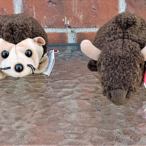Könnte beinhalten: Zwei braune Ty Beanie Babies, ein Igel und ein Büffel, mit ihren charakteristischen roten und weißen Etiketten. Der Igel liegt auf dem Bauch mit erhobenem Kopf, während der Büffel mit gesenktem Kopf steht.