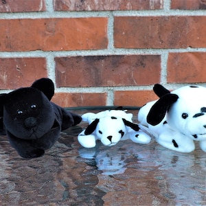 Könnte beinhalten: Drei Plüsch-Hunde-Spielzeuge. Eines ist schwarz, die anderen beiden sind weiß mit schwarzen Flecken. Die Hunde liegen auf einer Glasfläche.