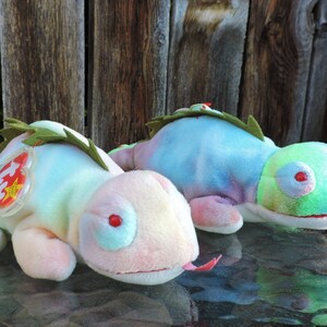 Iggy (tm) Ty Inc (r)  The Beanie Babies Collection (tm)