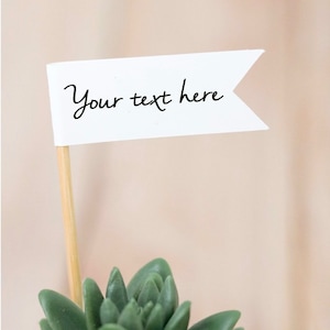 May include: A small succulent plant in a white pot with a white flag that says "Your text here" on a wooden stick.
