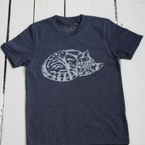 Kids Organic Tri-Blend T-shirt: Sleeping Kitten Graphic Tee