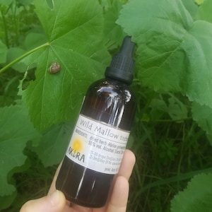 Herbal Tincture of Common Mallow ~ Malva sylvestris ~ wild crafted ~ herbs for digestive & respiratory system ~ anti-stress ~ soothing herbs