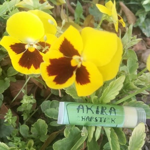 May include: A green tube of lip balm with the text "AKIRA CHAPSTICK" on the label. The tube is sitting on a bed of green leaves and yellow and brown pansies.