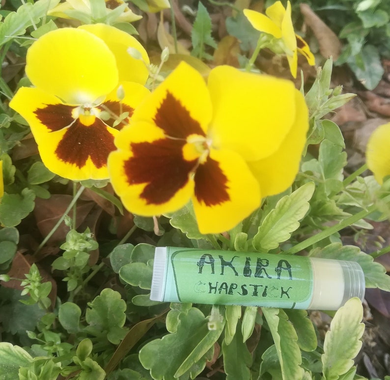 May include: A green tube of lip balm with the text "AKIRA CHAPSTICK" on the label. The tube is sitting on a bed of green leaves and yellow and brown pansies.