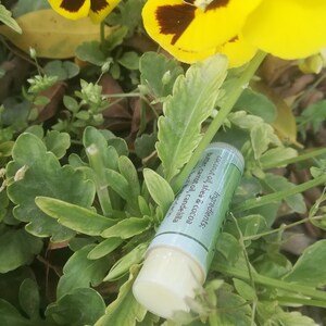 May include: A light blue lip balm tube with a white label that reads "Ingredients: coconut oil, shea & cocoa butter, carrot oil, candelilla mandarin". The tube is lying on a bed of green leaves and yellow flowers.
