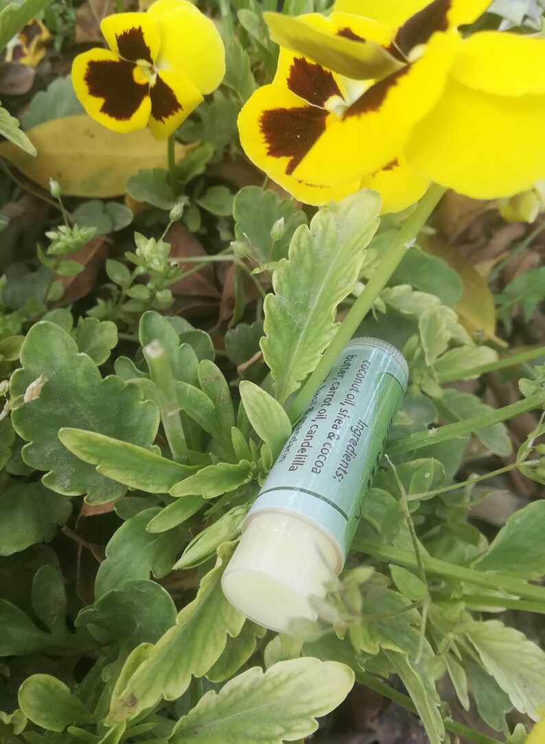 May include: A light blue lip balm tube with a white label that reads "Ingredients: coconut oil, shea & cocoa butter, carrot oil, candelilla mandarin". The tube is lying on a bed of green leaves and yellow flowers.