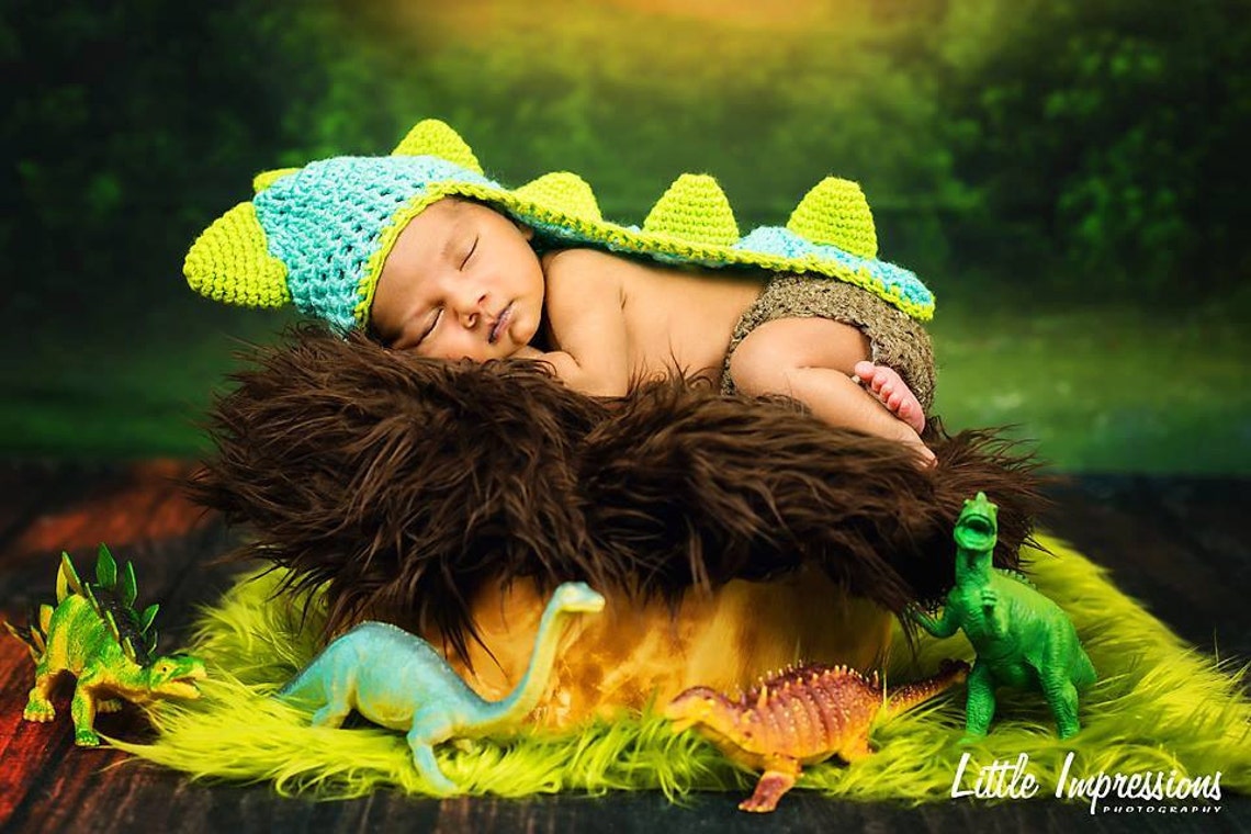 first newborn dinosaur that rarely hatch out of the egg 2020