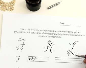 Beginner Calligraphy Starter Set: Pen, Ink & Practice Sheets
