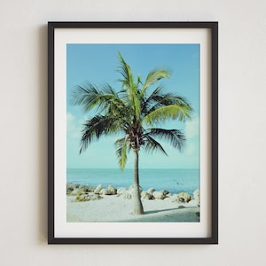 Key West Palm Tree, Beach Photo, Florida Keys, Fort Zach Beach, Key West, Florida, Key West Photography, Florida Photo, Key West Photo