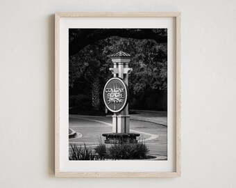 Fotografía en blanco y negro de Hilton Head Island, Parque Coligny Beach, Impresión Lowcountry