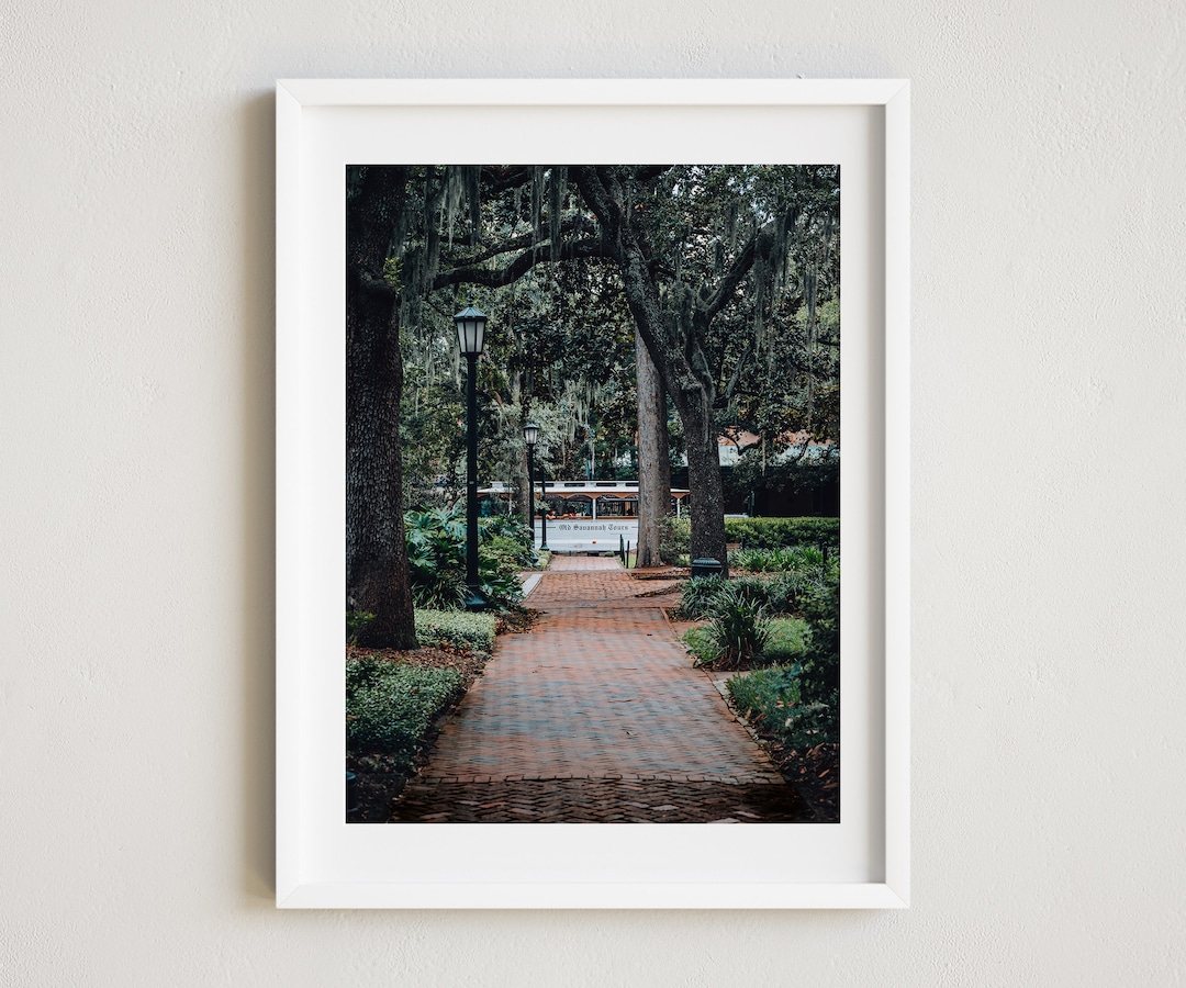 Savannah Photo, Savannah Madison Square, Savannah Print