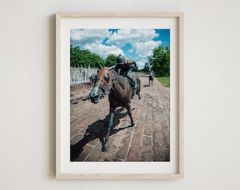 Lexington, Kentucky, Lexington Photography, Thoroughbred Park, Downtown Lexington, Kentucky Race Horse, Lexington Photo, Kentucky Decor