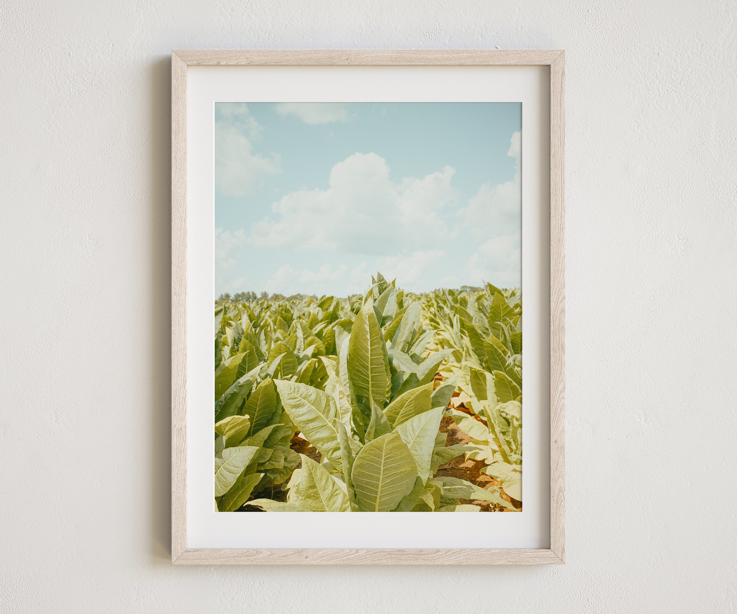 tobacco field painting Photography, Tobacco Photo, Tobacco Farm, Rustic Wall Art, Farmhouse Decor, Tobacco Wall Art A painting by National Park Service artist Sydney King. William Aiken Walker Tobacco Field