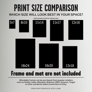 Op de afbeelding: Een grafiek die verschillende afdrukformaten in inches laat zien, met de tekst "Vergelijking afdrukformaten" en "Welke maat past het beste in uw ruimte?" De grafiek toont de formaten 5x7, 8x10, 11x14, 11x17, 12x16, 16x24, 16x20 en 12x18.