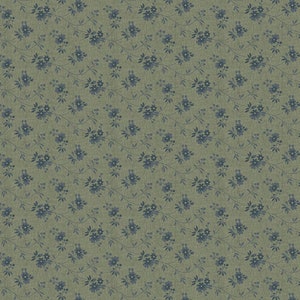 Garden Tale Daisy Trail Breen - #53822-8 - by Windham Fabrics - Reproduction Fabric - 100% Cotton Woven Fabric, Choose Your Cut