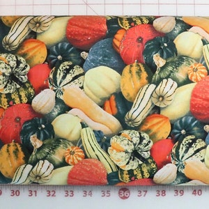 Food Festival - Gourds - #438 - Elizabeth&#39;s Studio - 100% Cotton Woven Fabric - Choose Your Cut