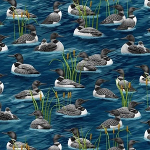 Timeless Treasures - Loons on the Water - Pattern #GM-CD2858  BLUE - 100% Cotton Woven Fabric - Choose Cut