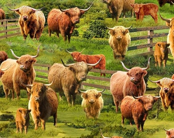 Highland Cows - by Timeless Treasures - #FARM-CD3076  MULTI - 100% Cotton Woven Fabric - Choose Your Cut