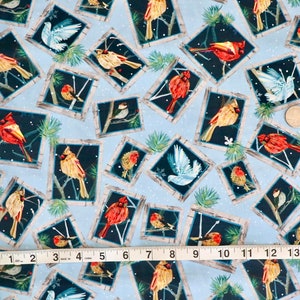 QT Fabrics - Winter Birds Framed Against a Blue Background - by QT - 100% Cotton Woven Fabric - Choose Your Cut