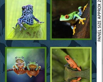 Fab Frogs - #2017A - Panel de bloques de 24 x 44 pulgadas - de Milvale Design Studios para Kennard Fabrics - Tejido 100 % algodón