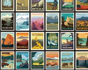 National Parks Posters Black - #C8780 - by Riley Blake - 100% Cotton Woven Fabric - Sold by the 20 Inch Repeat - READ DESCRIPTION CAREFULLY