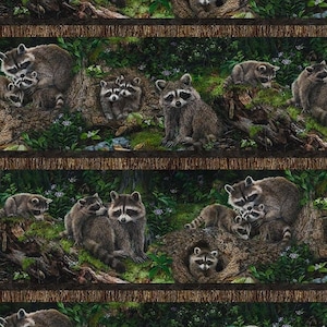 Little Rascals - Repeating Border Stripe - #DP25512-36 - Masked Bandits - by Northcott - 100% Cotton Woven Fabric - Choose Your Cut