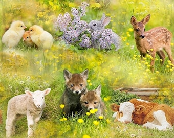 Sun Up to Sun Down, impreso digitalmente, # T4891-145-Spring - por Hoffman California Fabrics, tela tejida 100% algodón, vendida por 3/4 yarda