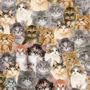 Packed Realistic Cats - #CAT-CD2060  NATURAL - from the Quirky Cats Collection by Timeless Treasures - 100% Cotton Woven Fabric - Choose Cut