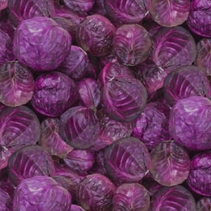 A La Carte - Purple Reign - Cabbages - Pattern #51898D-X - Windham Fabrics - 100% Cotton Woven Fabric - Choose Your Cut