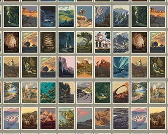 National Parks Postcards Gray - #CD13291-GRAY - by Riley Blake - 100% Cotton Woven Fabric Panel - Sold by the 24 inch Repeat