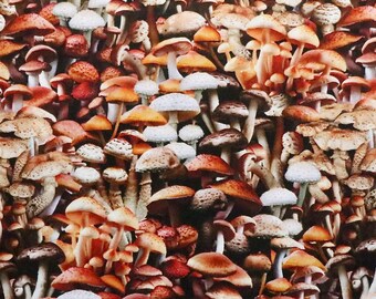 Landschappen - paddestoelen - #54407D-1 - Windham Fabrics - 100% geweven katoen - Kies je snit