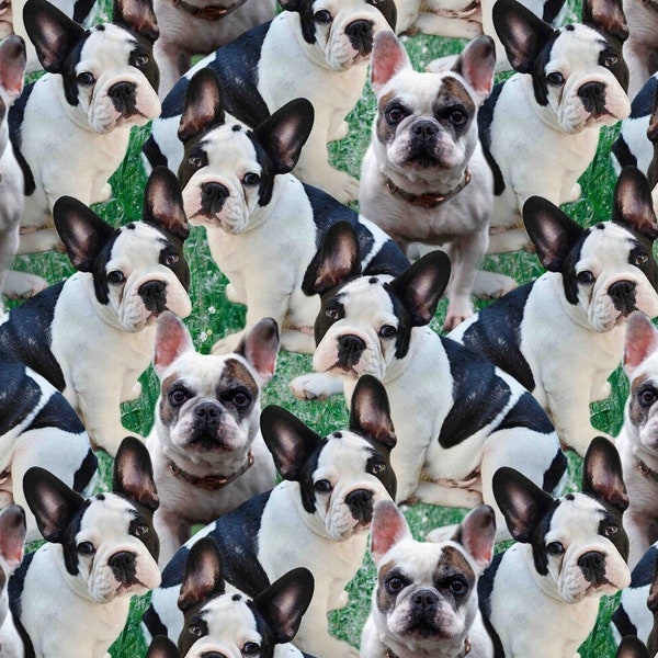 Frenchies in Grass Packed Allover - #DX-4267-3C-1 - by David Textiles - French Bulldogs - 100% Cotton Woven Fabric, Choose Your Cut