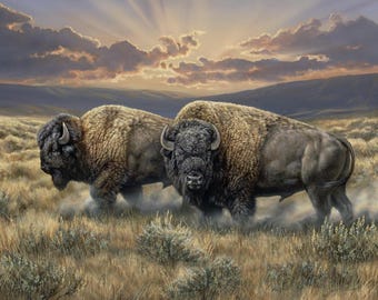 Dusty Plains - #WW-3321-3C-1 Multi - American Bison - Measures 35.5" x 44" - by David Textiles - 100% Cotton Woven Fabric