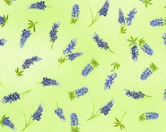 Last 1/2 yd - Texas in Bloom - 20173-47 - by Robert Kaufman - Cotton Fabric