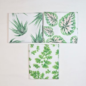 3 Fat Quarters - Modern Botanicals - by Paintbrush Studio - 100% Cotton Woven Fabric