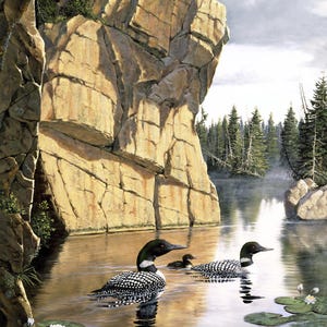 Naturescapes - Still Waters - 30&quot; x 43&quot; digitaal bedrukt paneel - #DP26790-44 - door Northcott - Loons on the Lake - 100% geweven katoen