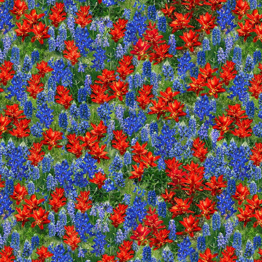 Fleur CD2435 Multi - Indian Paintbrush - by Timeless Treasures - 100% ...
