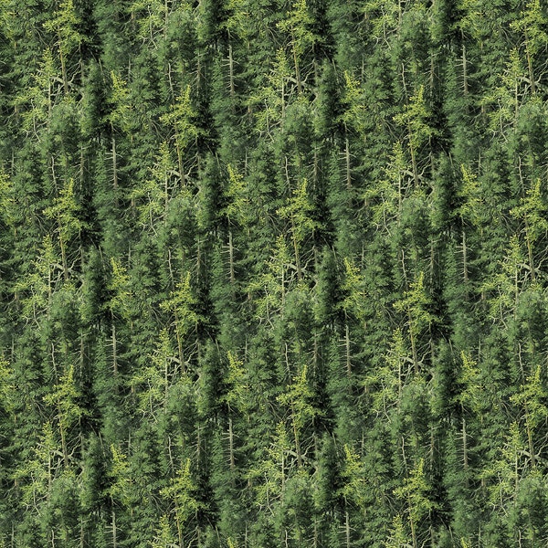 Naturescape - Pattern # 25498-76 - Evergreen Forest - by Northcott - 100% Cotton Woven Fabric - Choose Your Cut