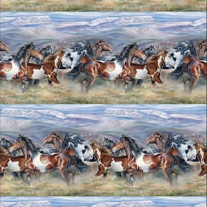Wild and Free - Repeating Border Stripe - Pattern #DP27601-42 - by Northcott - 100% Cotton Woven Fabric - Choose Cut
