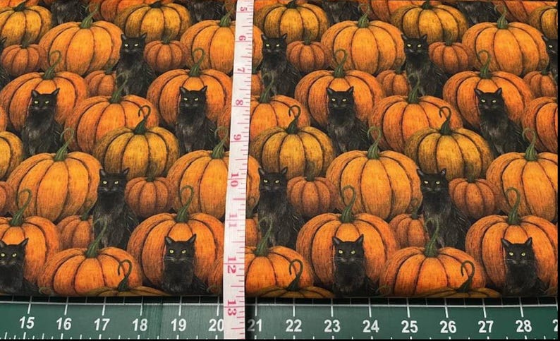 Harvest Haunt - 4813-33 Orange - Pumpkins and Black Cats - Blank ...