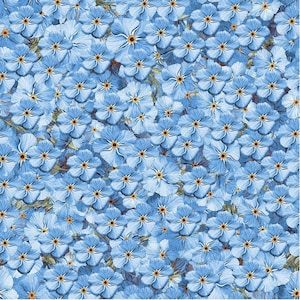 May include: A close-up view of a pattern of light blue flowers with yellow centres. The flowers are densely packed, creating a textured floral design. The overall effect is a field of delicate blooms, with a soft, pastel colour palette.