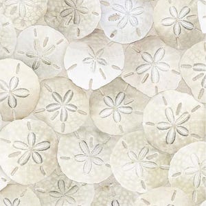 May include: A close-up of a collection of white sand dollars. The sand dollars are arranged in a random pattern, with some overlapping. The sand dollars are all the same size and shape, and they have a natural, slightly rough texture.