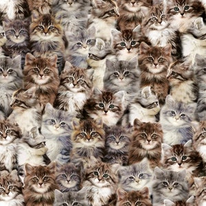 Adorable Kittens - One of a Kind - by Windham Fabrics - 100% Cotton Woven Fabric, Choose Your Cut