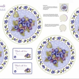 Berrylicious #1584P-07 White/Blue - Placemat Panel 24&quot; - by Henry Glass - 100% Cotton Woven Fabric Panel