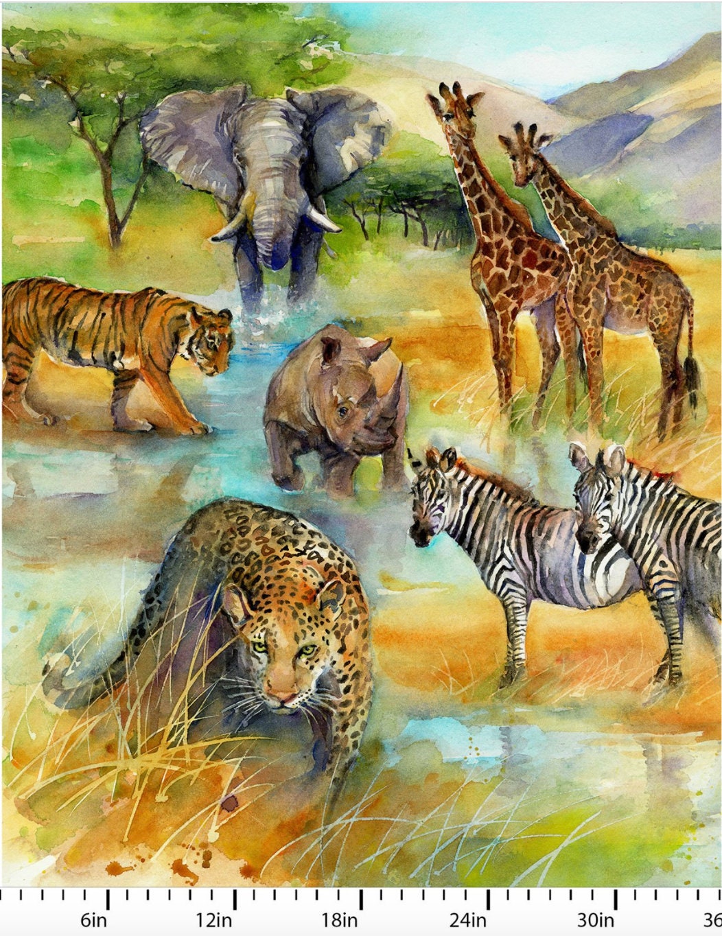 Z Zebras 8 X 10 Canvas Art Design. 