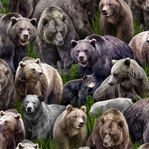 Wilderness - #59-7411 Multi - Bears - by Oasis Fabrics - Wildlife - Big Game Hunting - 100% Cotton Woven Fabric - Choose Your Cut