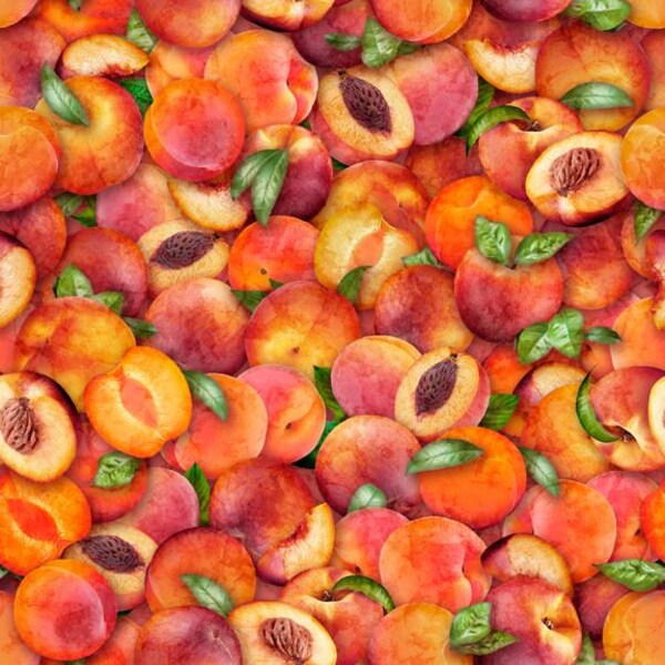 Fresh - Peaches - Pattern #28467 -C - by Quilting Treasures - 100% Cotton Woven Fabric - Choose Your Cut